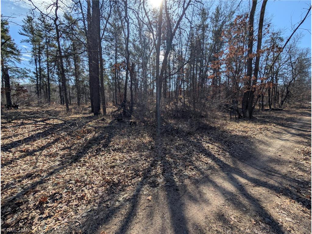TBD Peony Lane Breezy Point MN 56472 6699162 image1