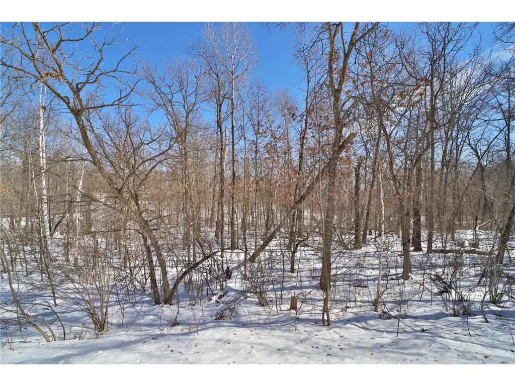 TBD Percheron Drive Breezy Point MN 56472 7034150 image1