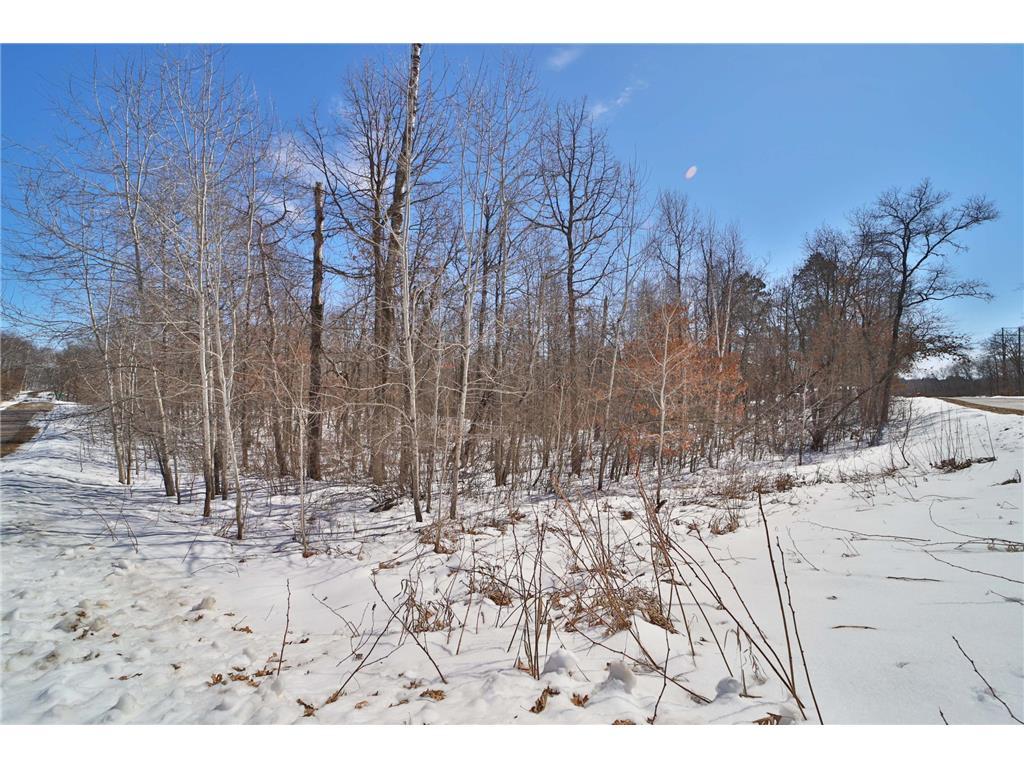TBD Percheron Drive Breezy Point MN 56472 7034150 image4