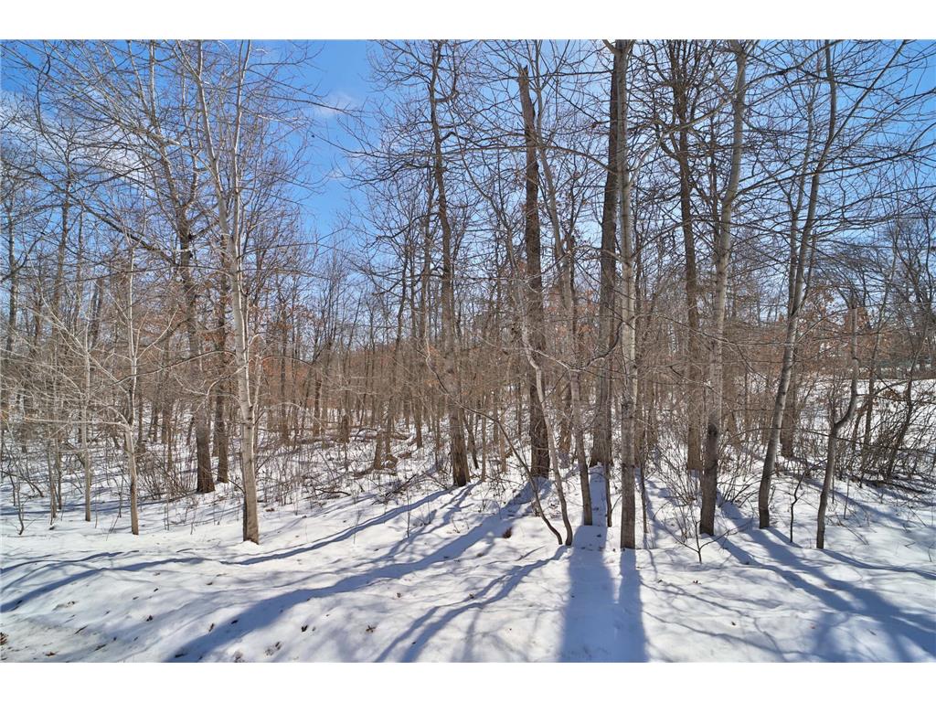 TBD Percheron Drive Breezy Point MN 56472 7034150 image5