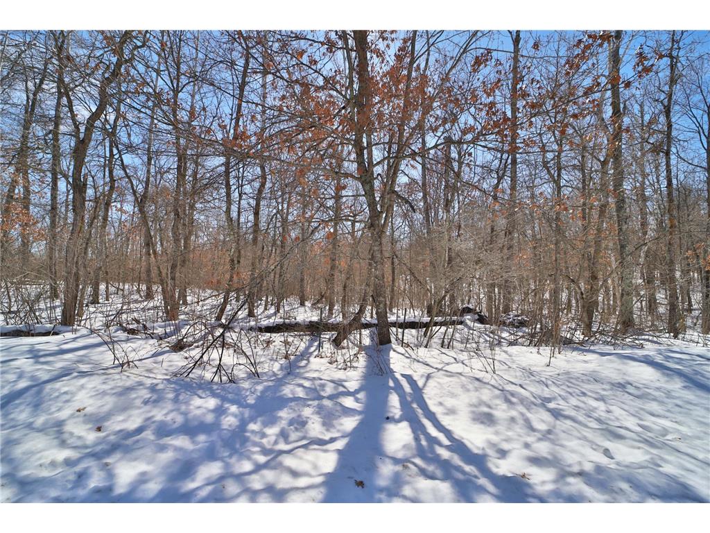 TBD Percheron Drive Breezy Point MN 56472 7034150 image7