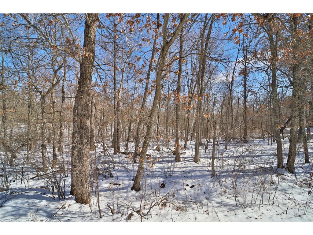 TBD Percheron Drive Breezy Point MN 56472 7034150 image8