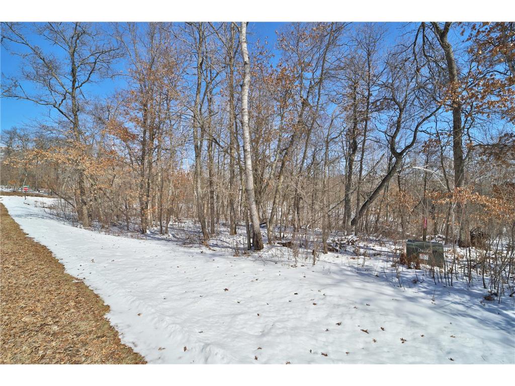 TBD Percheron Drive Breezy Point MN 56472 7034150 image9