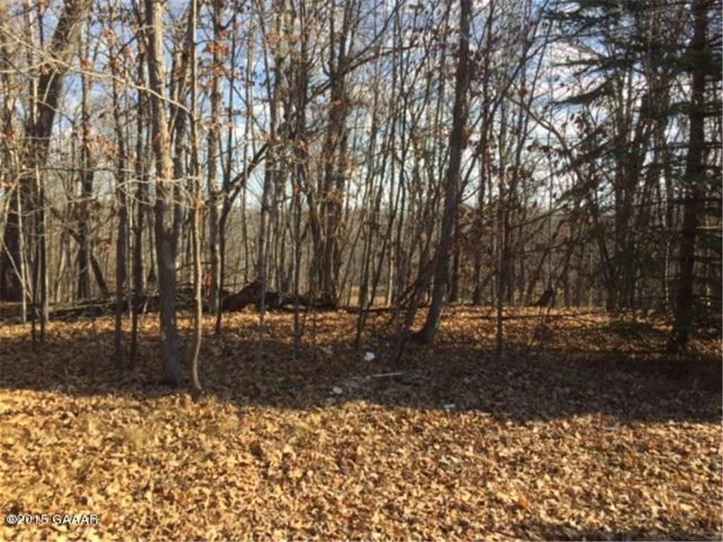TBD Petes Point Lane SW Moe Twp MN 56308 6459633 image1