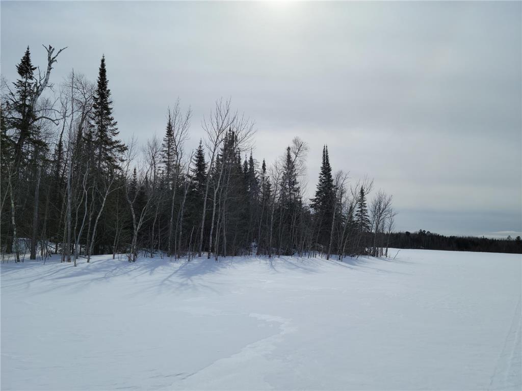 TBD Pickerel Road Effie MN 56639 6326132 image1