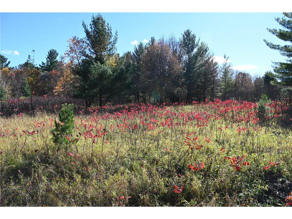 TBD Pike Court Fawn Lake Twp MN 56438 - Fawn 6813138 image1