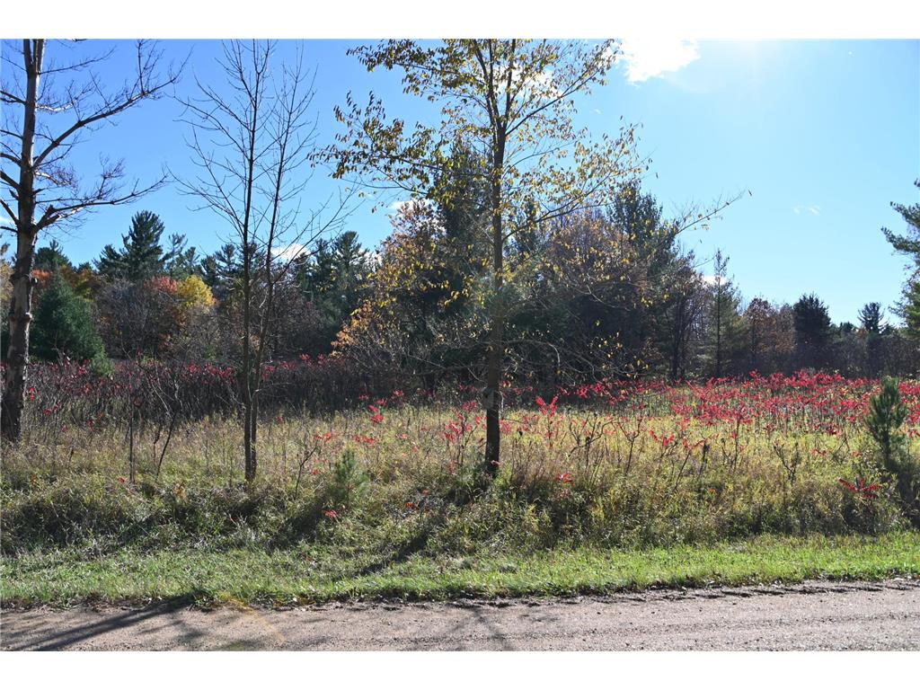 TBD Pike Court Fawn Lake Twp MN 56438 - Fawn 6813138 image2