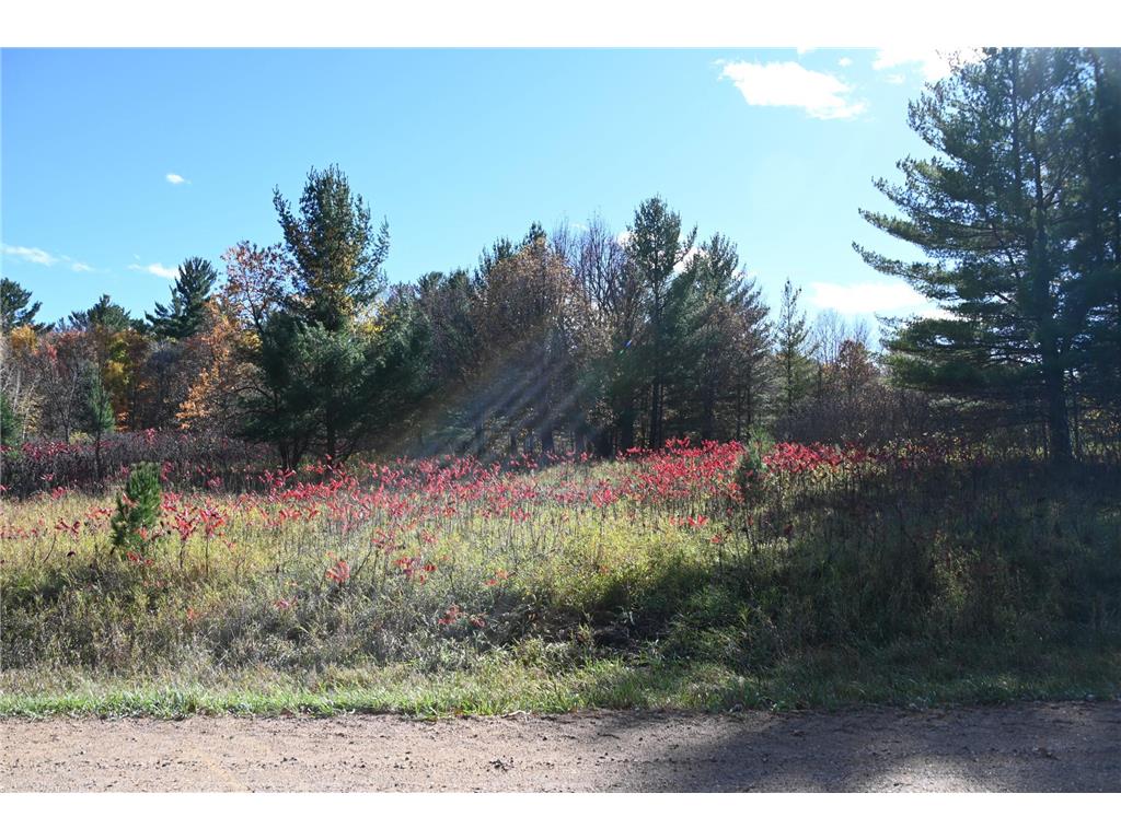 TBD Pike Court Fawn Lake Twp MN 56438 - Fawn 6813138 image4