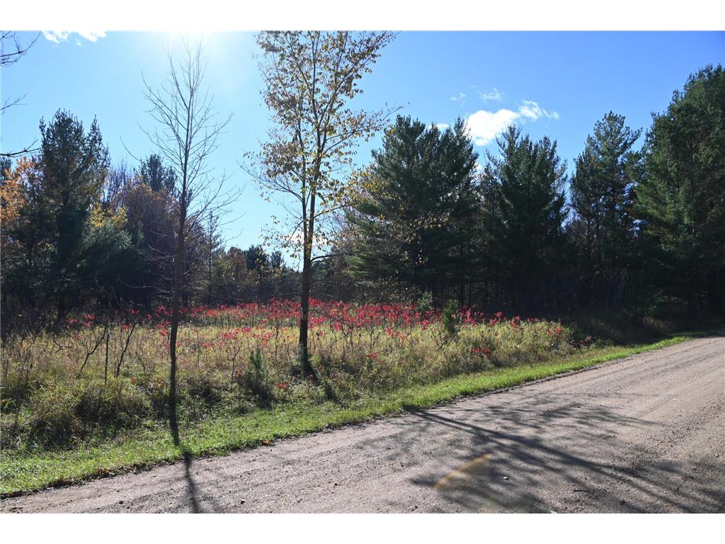 TBD Pike Court Fawn Lake Twp MN 56438 - Fawn 6813138 image5