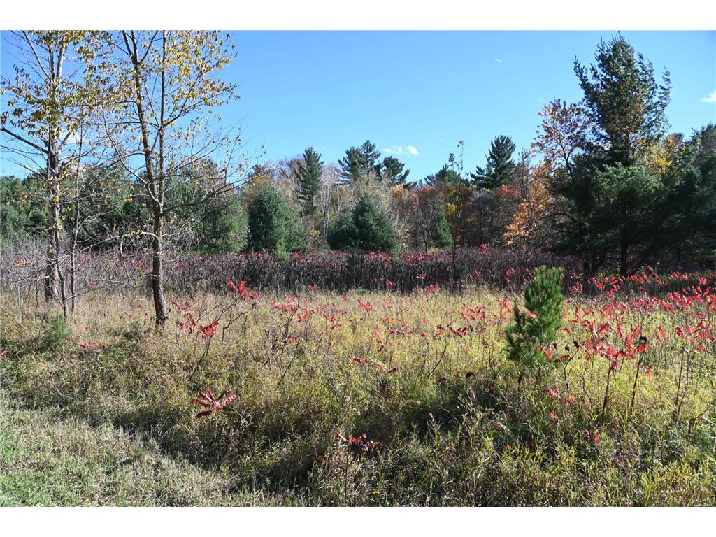 TBD Pike Court Fawn Lake Twp MN 56438 - Fawn 6813138 image6