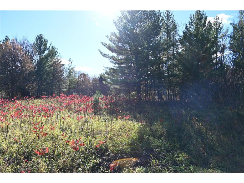 TBD Pike Court Fawn Lake Twp MN 56438 - Fawn 6813138 image7