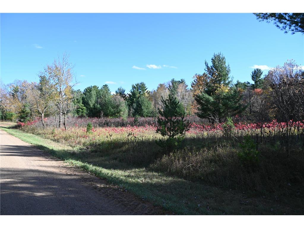 TBD Pike Court Fawn Lake Twp MN 56438 - Fawn 6813138 image8