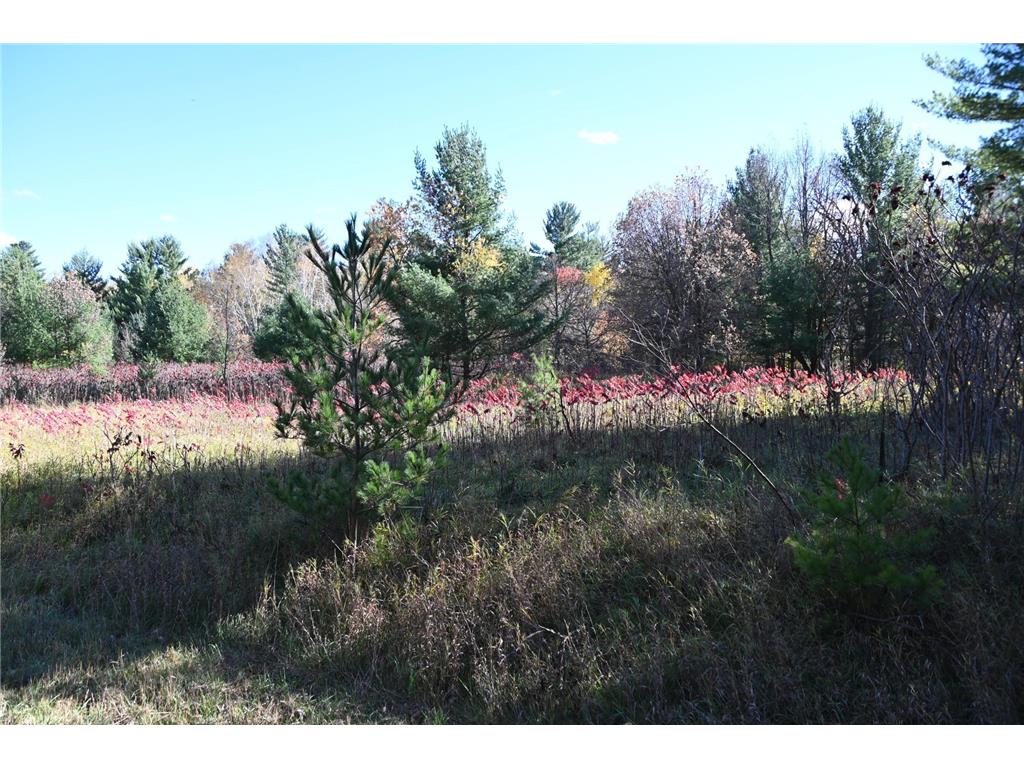 TBD Pike Court Fawn Lake Twp MN 56438 - Fawn 6813138 image9