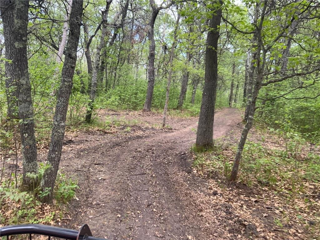 TBD Pincherry NE Bemidji MN 56601 7046844 image2