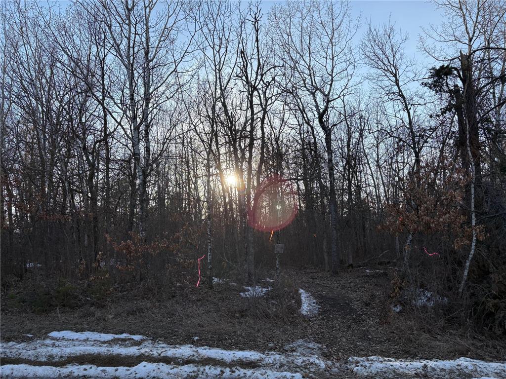 TBD Pincherry NE Bemidji MN 56601 7046844 image4