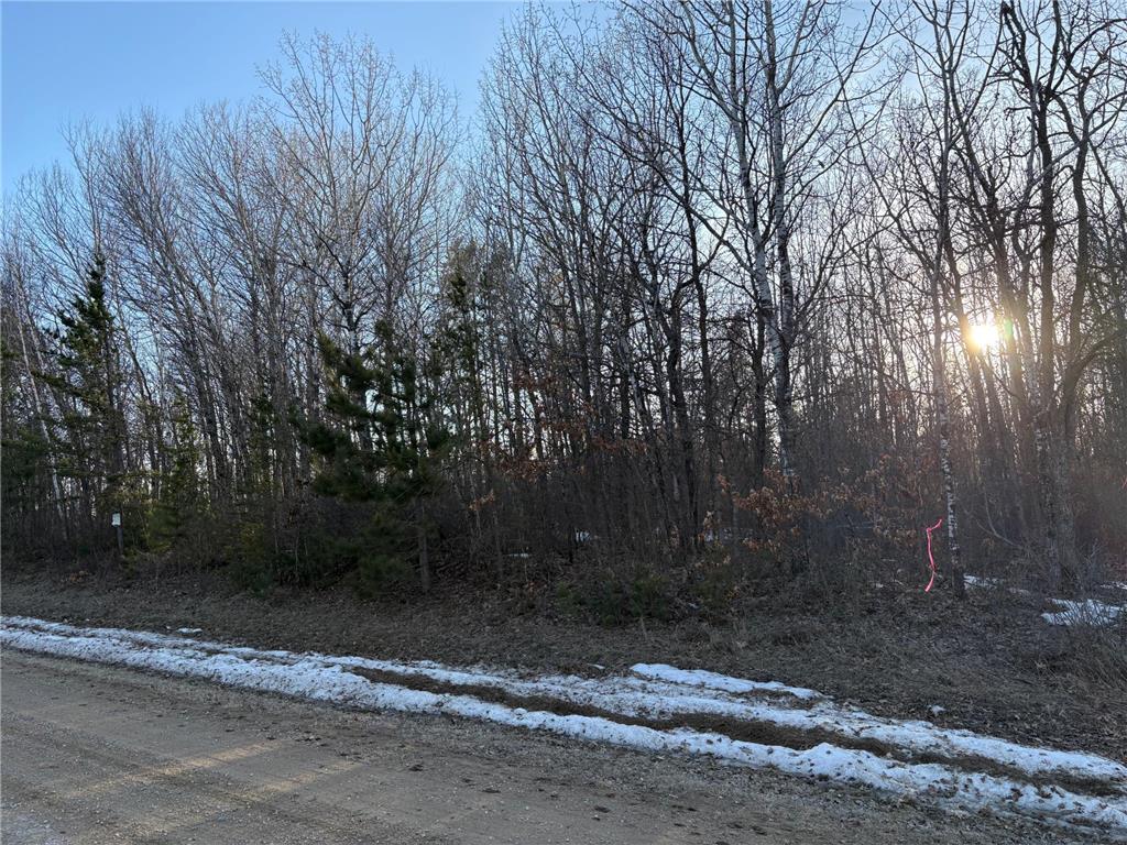 TBD Pincherry NE Bemidji MN 56601 7046844 image5