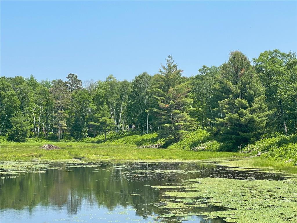 TBD Pine Bay Trail Crosslake MN 56442 6392139 image1