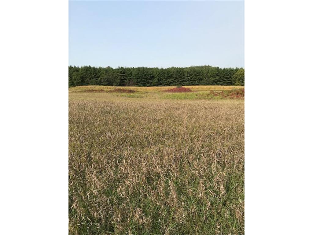 TBD Pine Bluff (site15) Rd NW Pine Island MN 55963 5708794 image1
