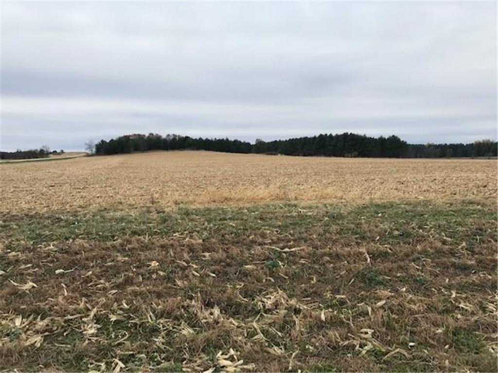 TBD Pine Bluff (site15) Rd NW Pine Island MN 55963 5708794 image3