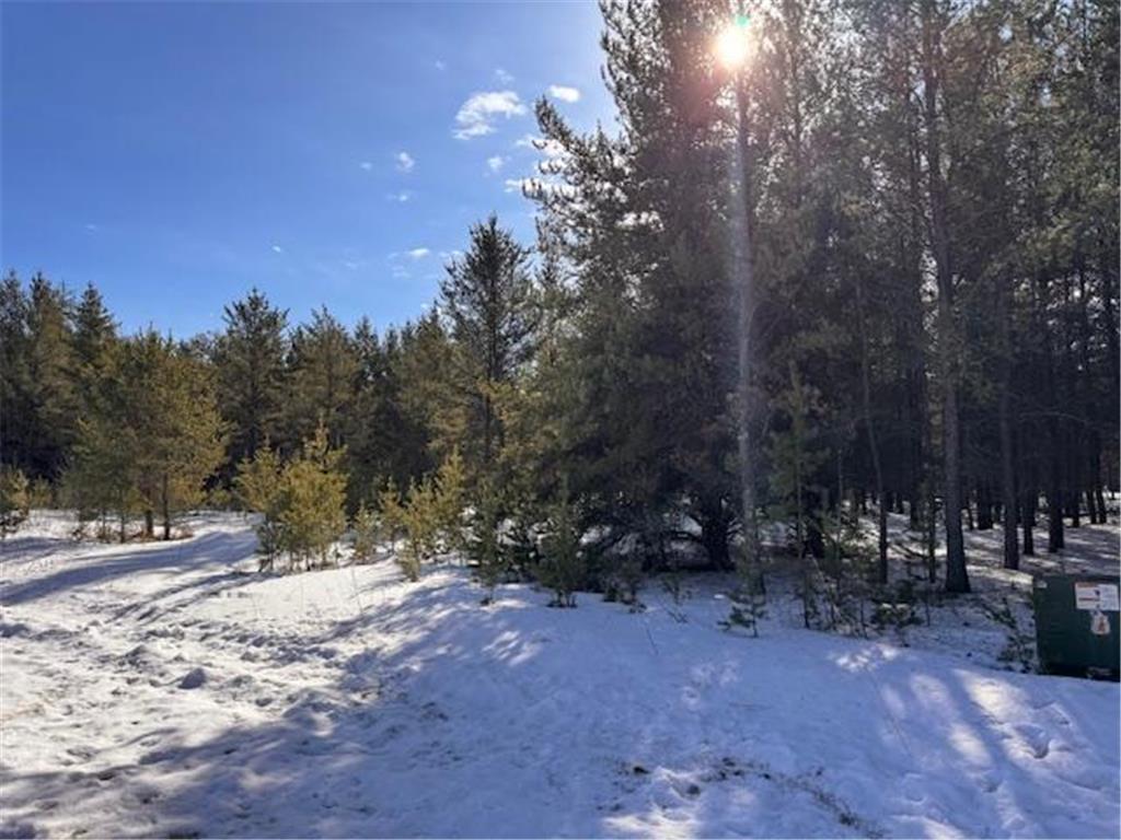TBD Pine Cone Dr Blueberry Twp MN 56464 7022927 image10