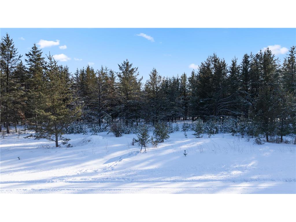 TBD Pine Cone Dr Blueberry Twp MN 56464 7022927 image15