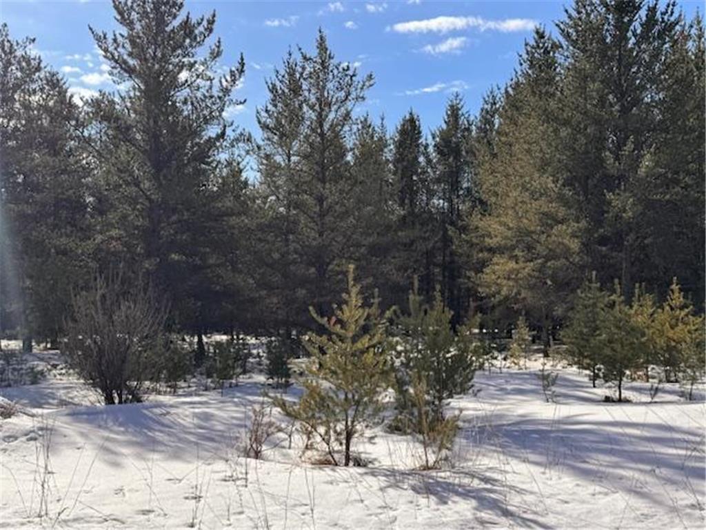 TBD Pine Cone Dr Blueberry Twp MN 56464 7022927 image4