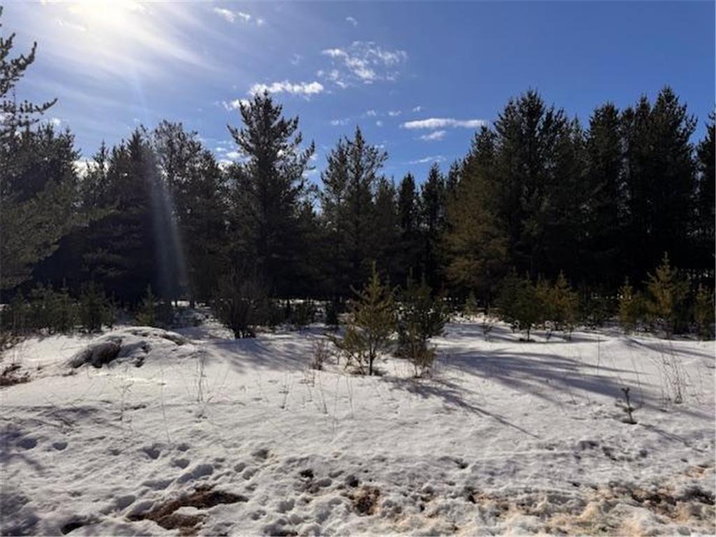 TBD Pine Cone Dr Blueberry Twp MN 56464 7022927 image5