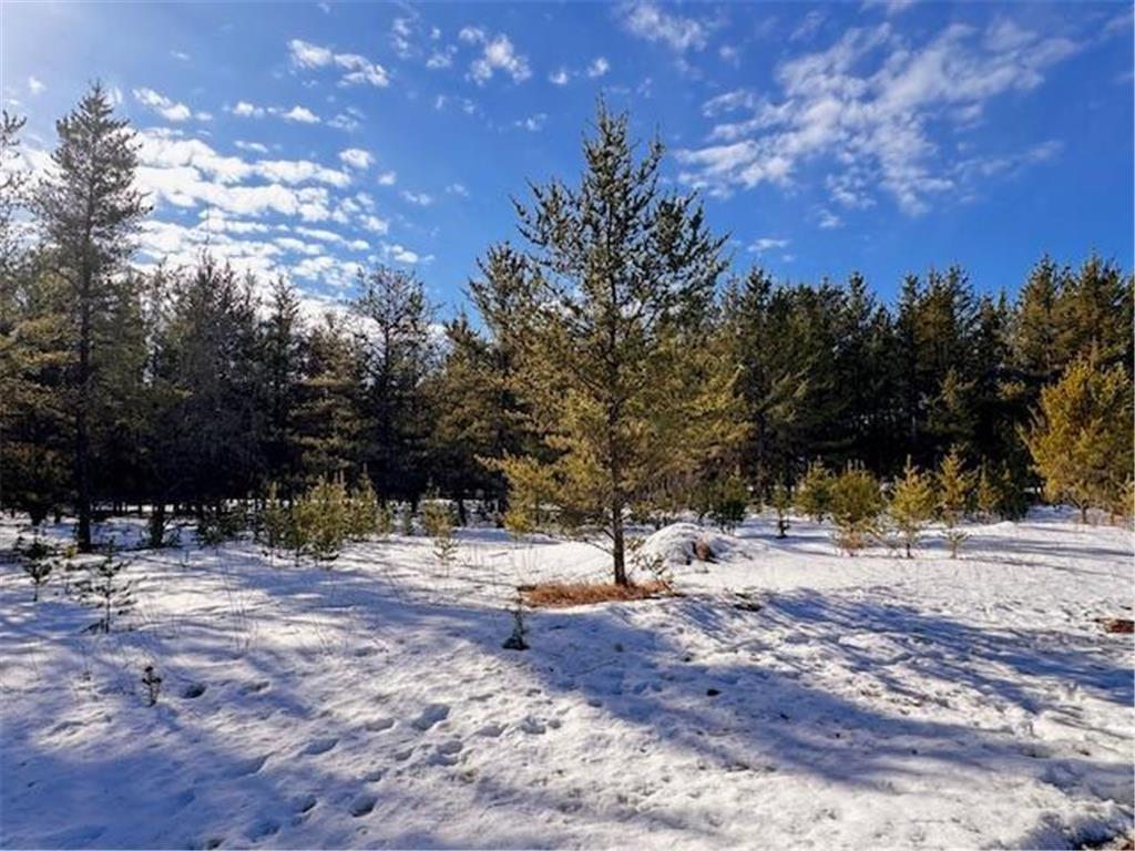 TBD Pine Cone Dr Blueberry Twp MN 56464 7022927 image6