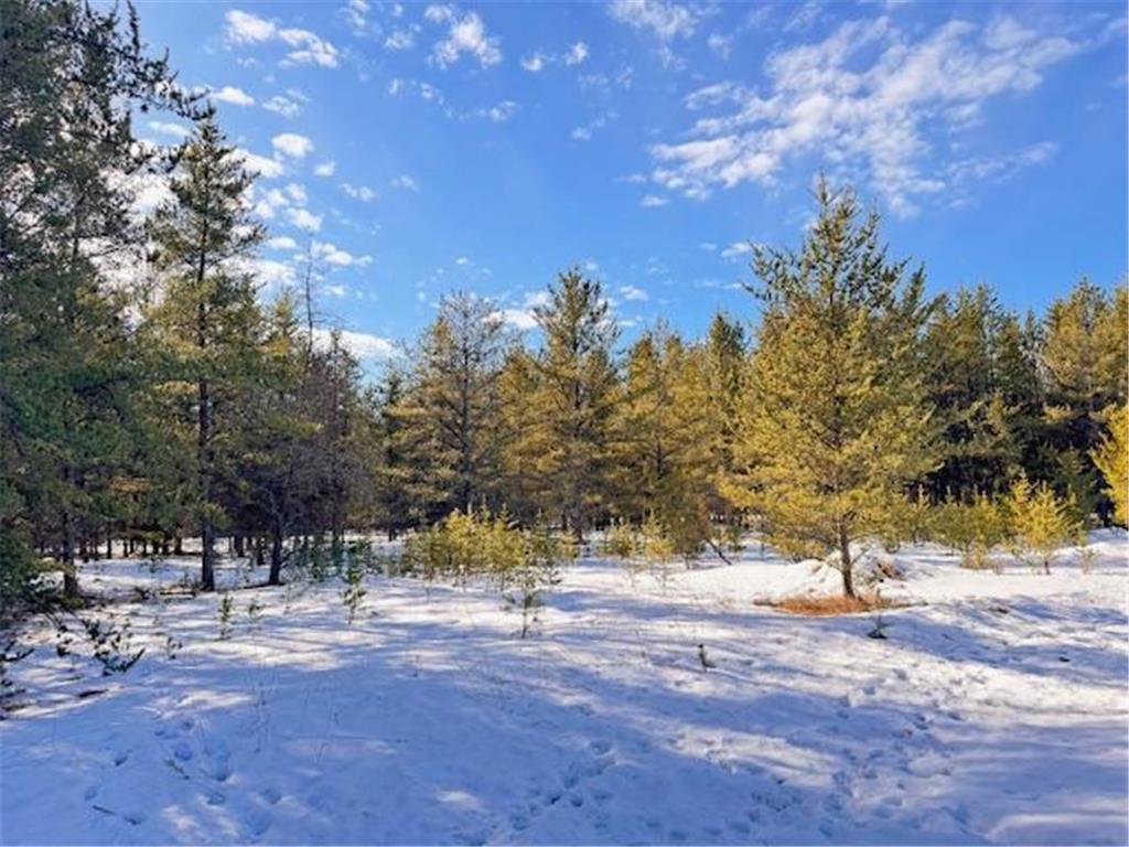 TBD Pine Cone Dr Blueberry Twp MN 56464 7022927 image7