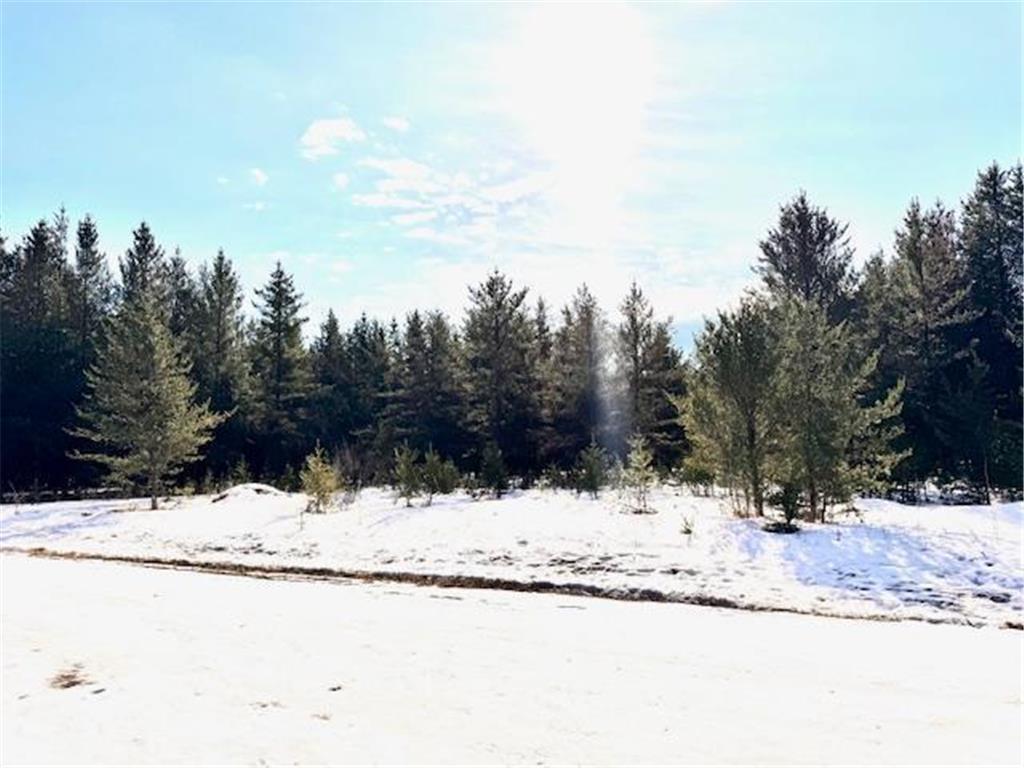 TBD Pine Cone Dr Blueberry Twp MN 56464 7022927 image9