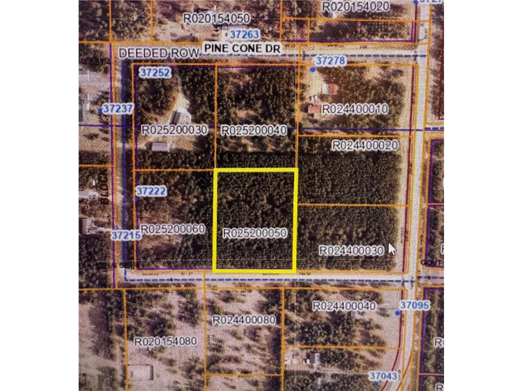 TBD Pine Cone Rd Blueberry Twp MN 56464 7022939 image4