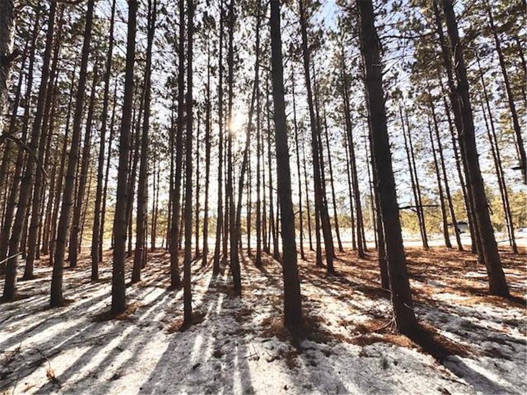 TBD Pine Cone Rd Blueberry Twp MN 56464 7022939 image5