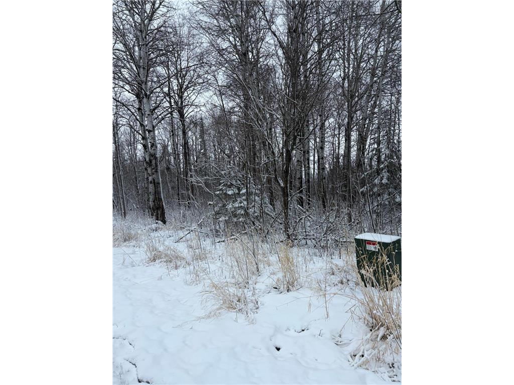 TBD Pine Creek Drive NW Angle Inlet MN 56711 7061319 image4