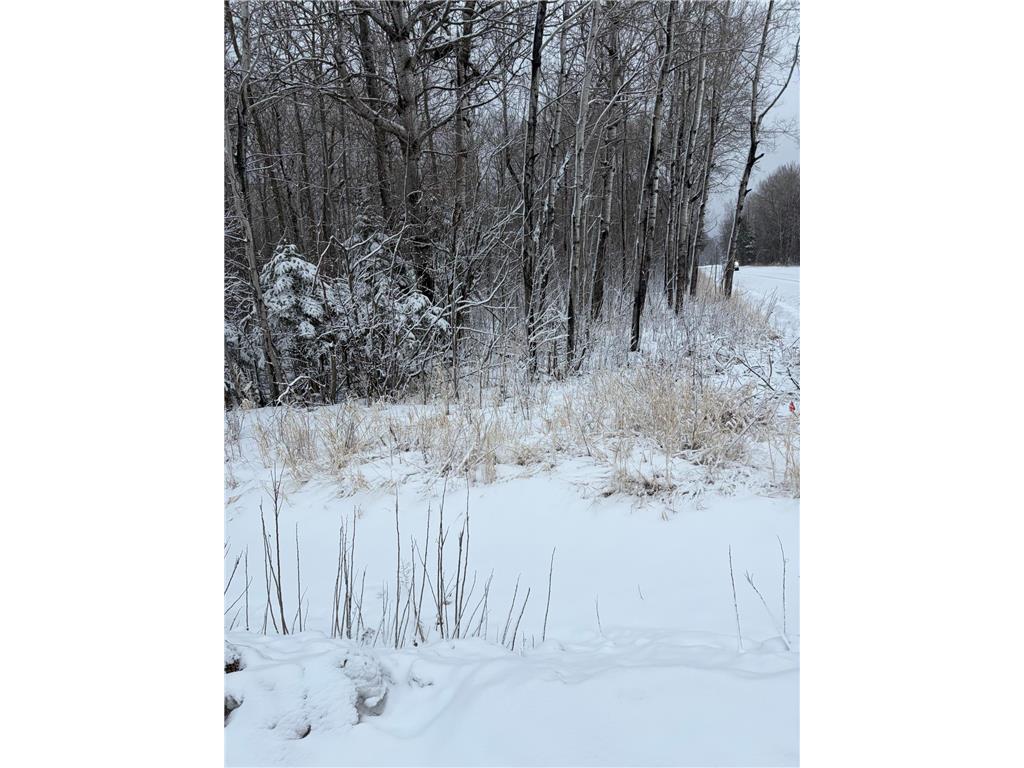 TBD Pine Creek Drive NW Angle Inlet MN 56711 7061319 image6