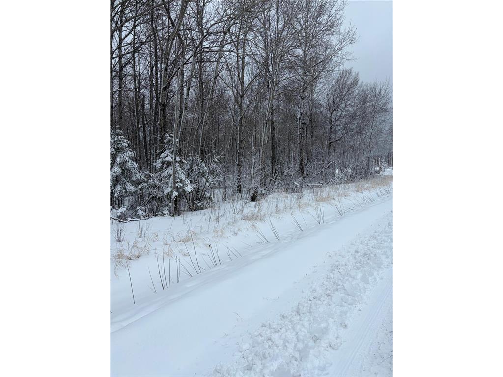 TBD Pine Creek Drive NW Angle Inlet MN 56711 7061319 image7