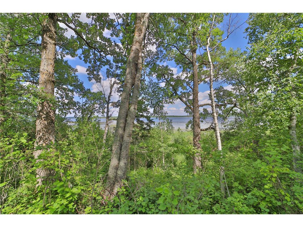 TBD Pine Mountain Lake Road NW Backus MN 56435 - Pine Mountain 6753271 image1