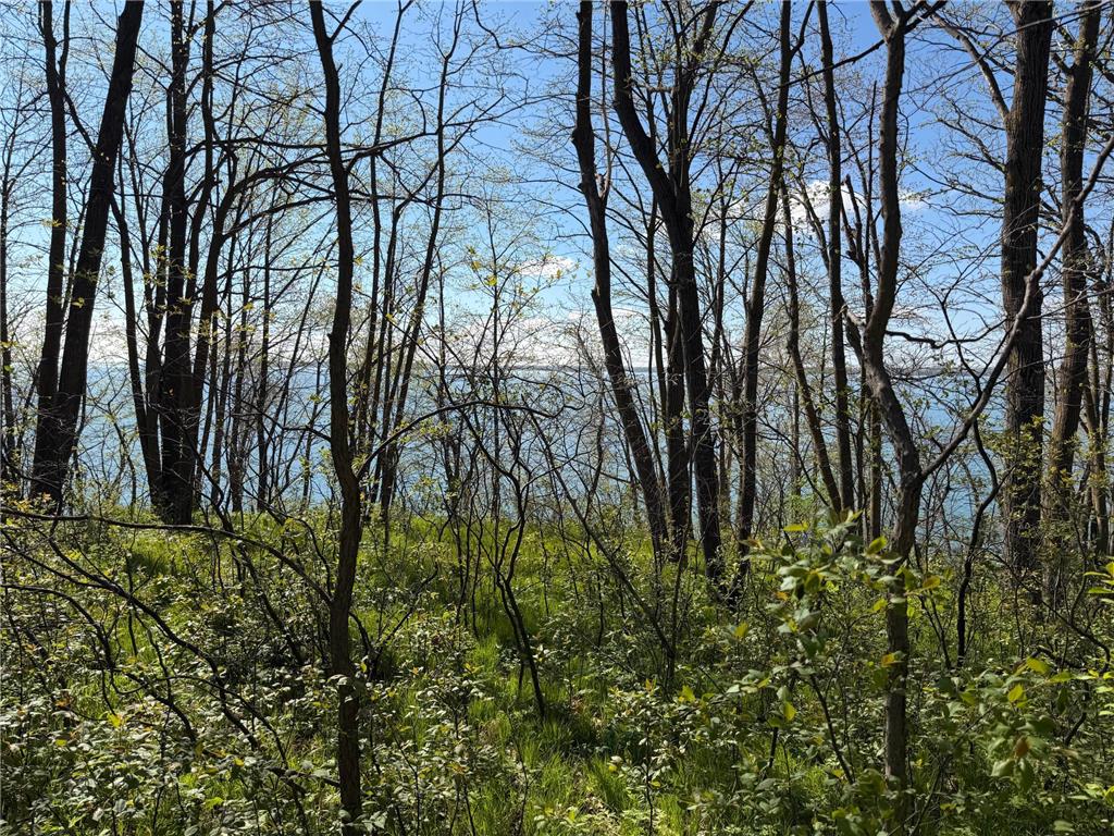 TBD Pine Point Drive Walker MN 56484 - Leech Lake 7078625 image11