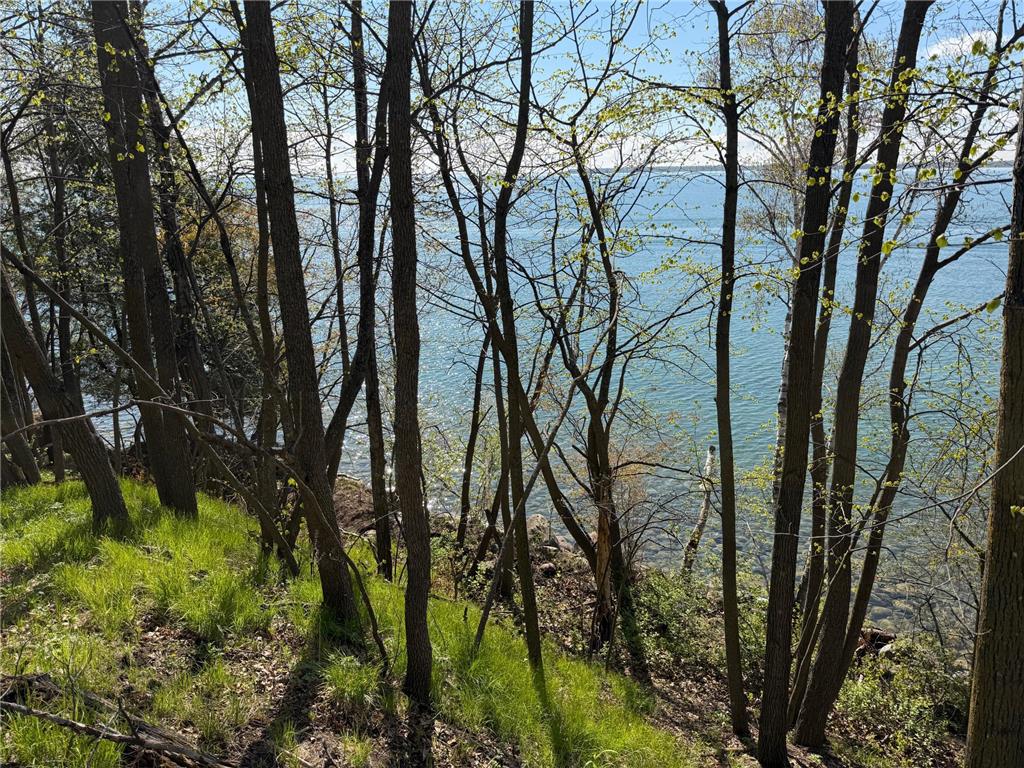 TBD Pine Point Drive Walker MN 56484 - Leech Lake 7078625 image12