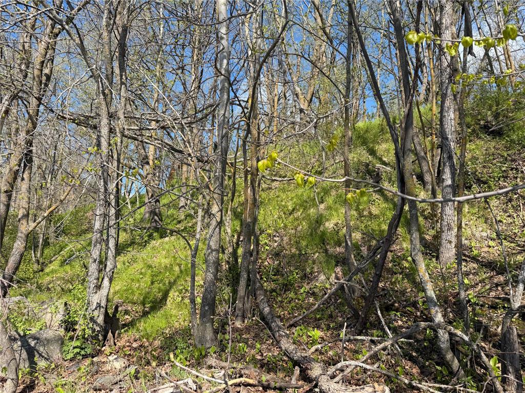 TBD Pine Point Drive Walker MN 56484 - Leech Lake 7078625 image13