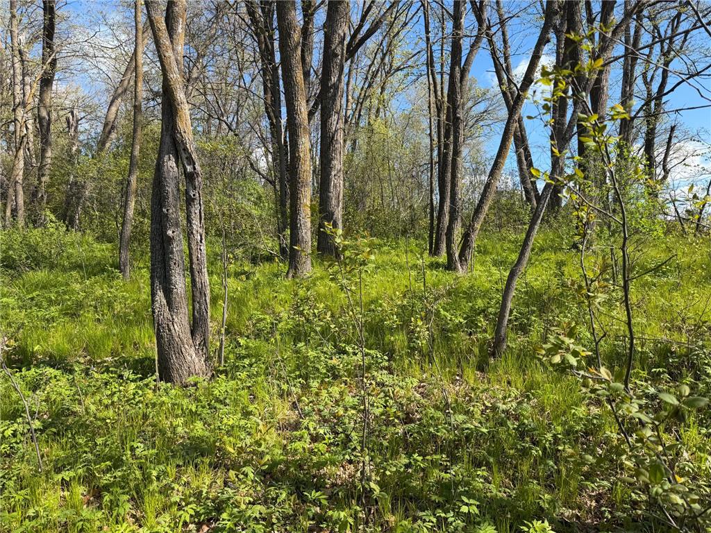 TBD Pine Point Drive Walker MN 56484 - Leech Lake 7078625 image15