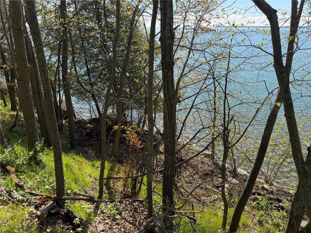 TBD Pine Point Drive Walker MN 56484 - Leech Lake 7078625 image16