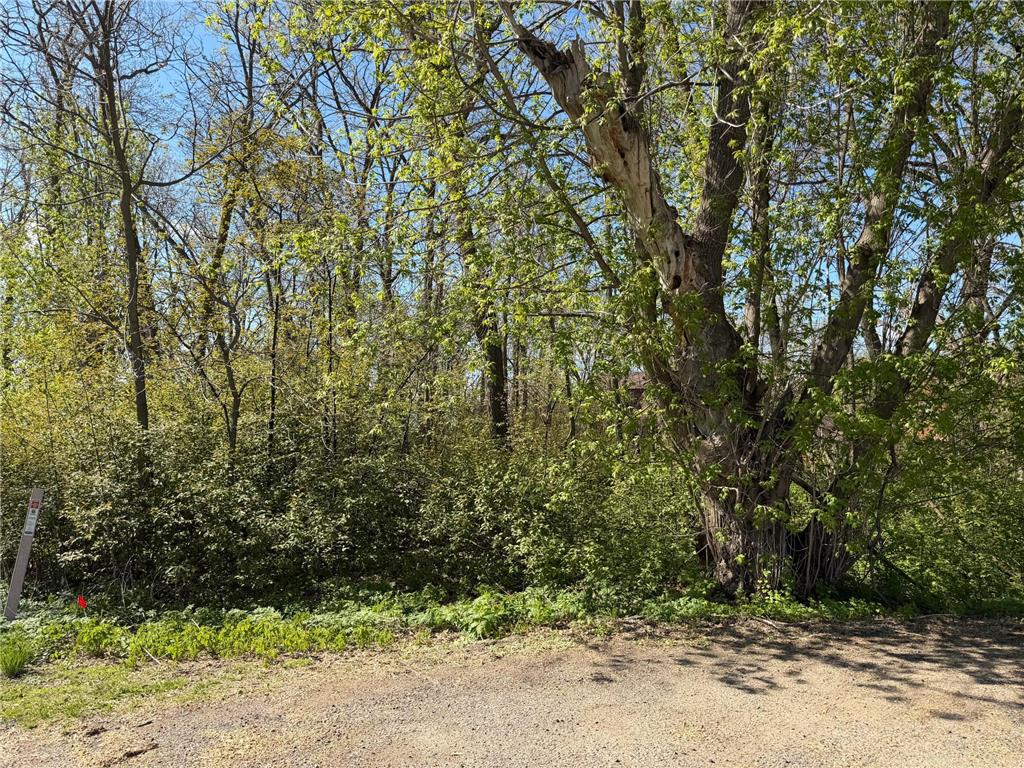 TBD Pine Point Drive Walker MN 56484 - Leech Lake 7078625 image18