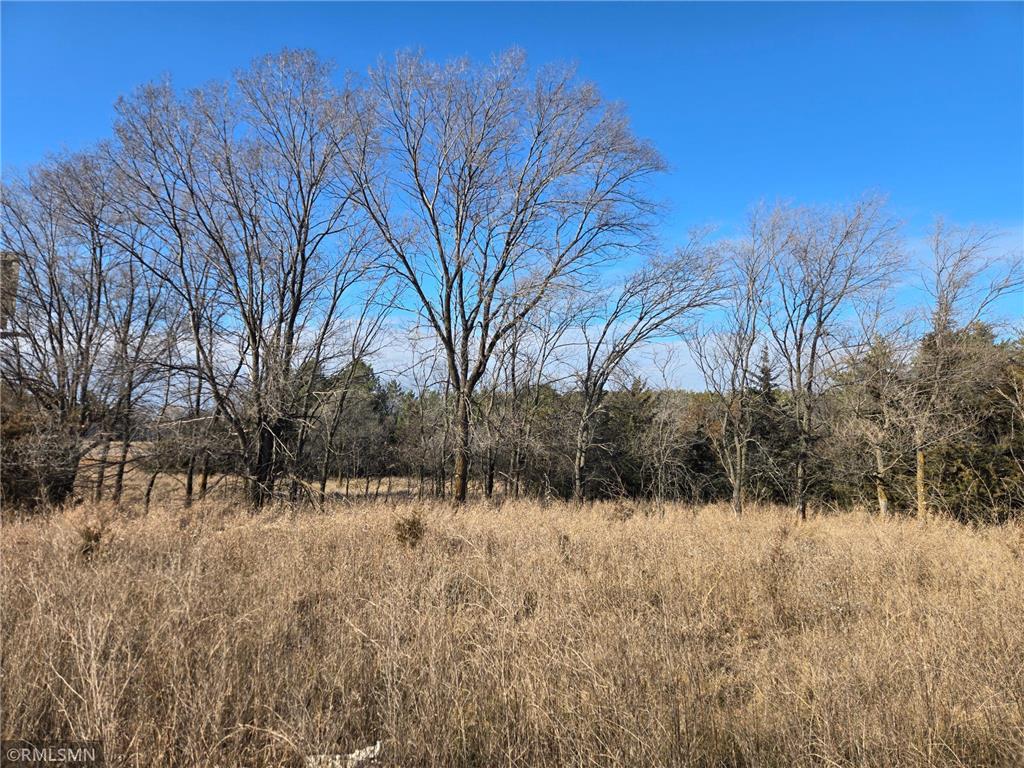TBD Pine Road NW Rice MN 56367 6821929 image11