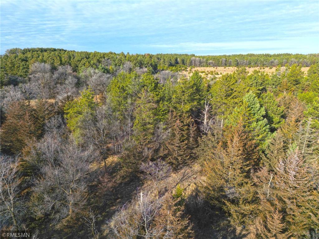 TBD Pine Road NW Rice MN 56367 6821929 image13