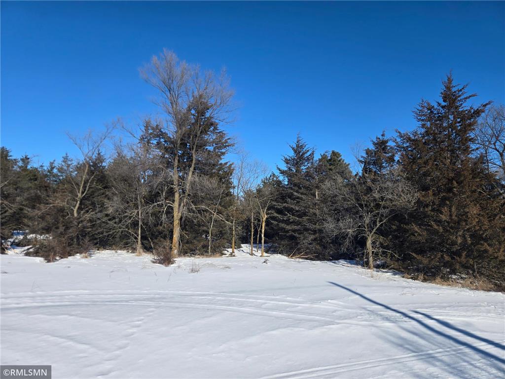 TBD Pine Road NW Rice MN 56367 6821929 image23