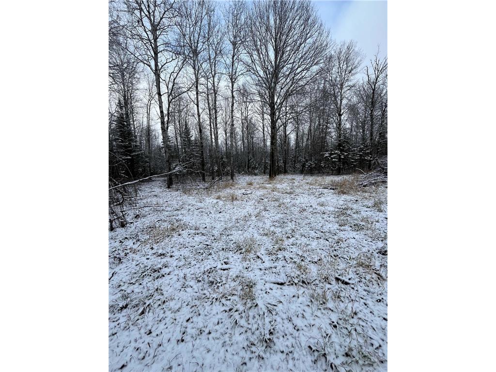 TBD Pinewood Lane NW Angle Inlet MN 56711 6637820 image1