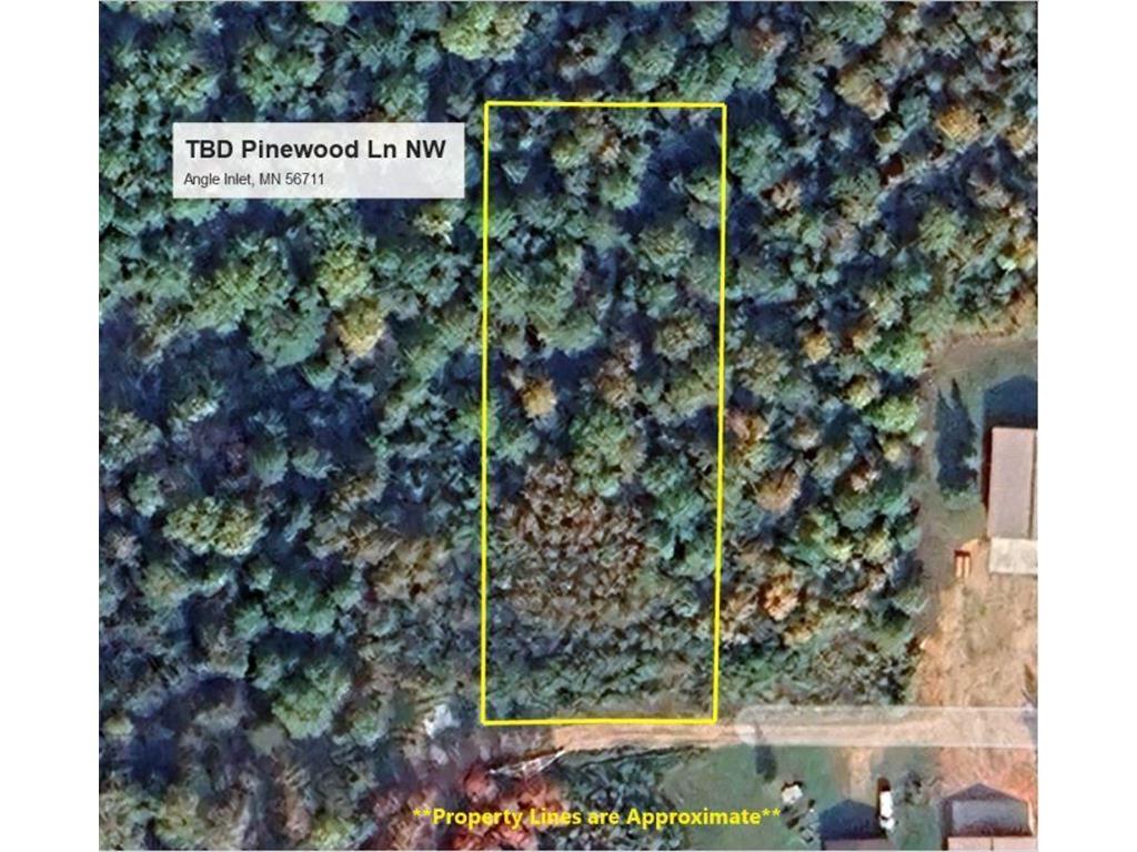 TBD Pinewood Lane NW Angle Inlet MN 56711 6607223 image1
