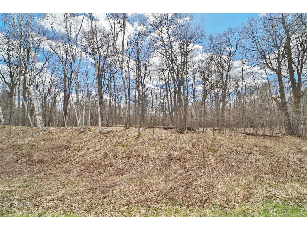 TBD Pioneer Avenue Aitkin MN 56431 7067596 image1