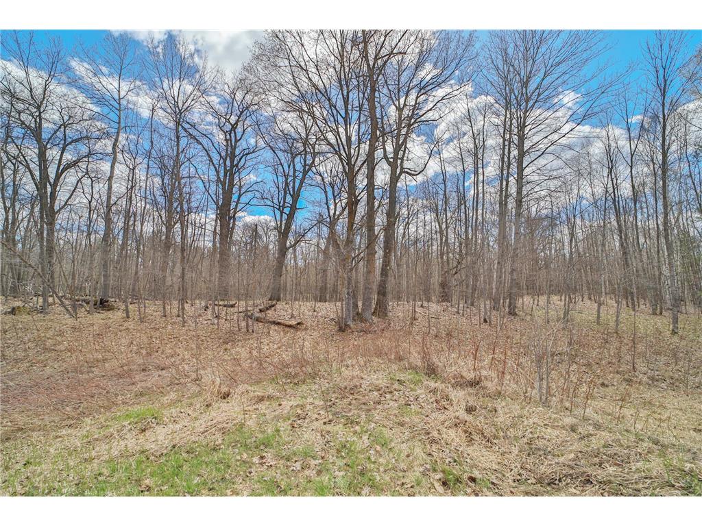 TBD Pioneer Avenue Aitkin MN 56431 7067596 image2