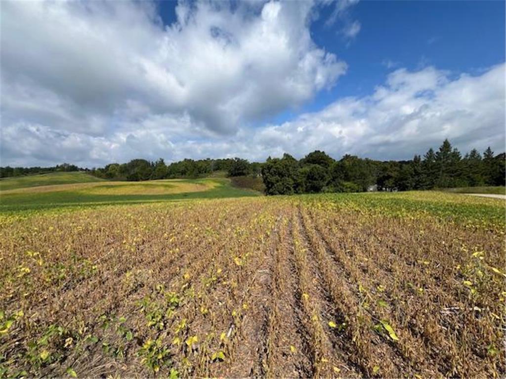 TBD Placid Dr Edna Twp MN 56573 6783530 image2